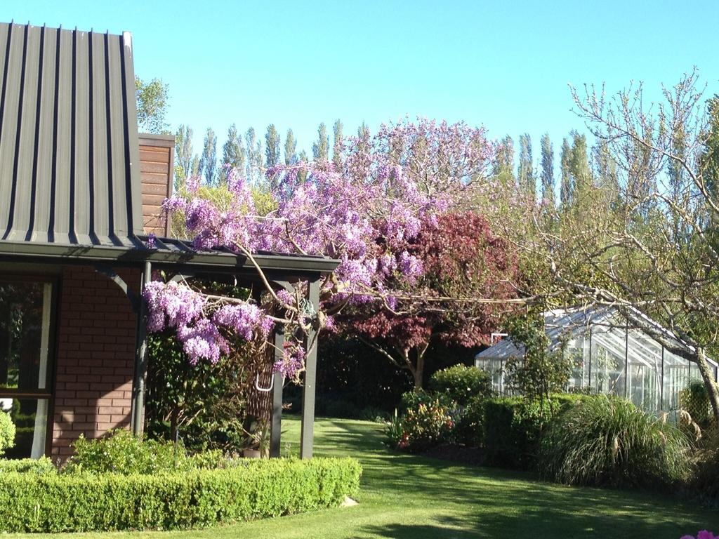 Rhododendron Garden Hotel Christchurch Room photo